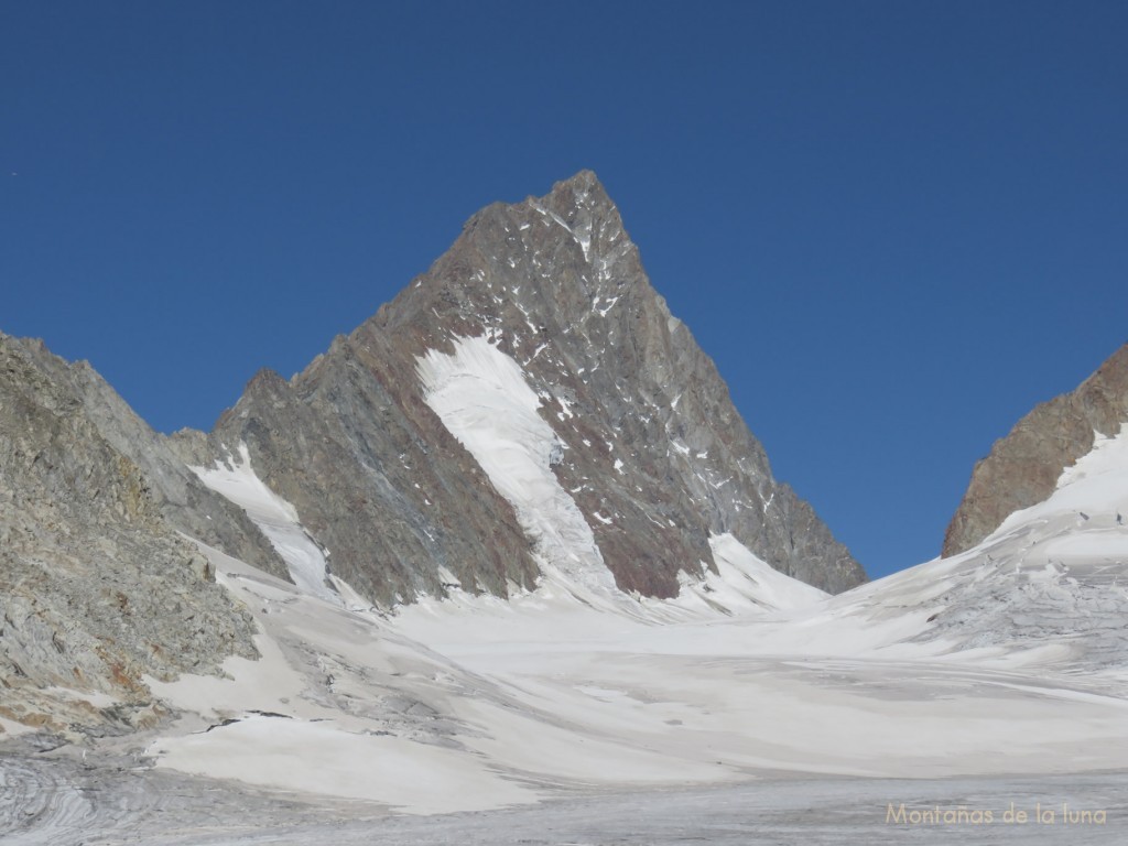 El pico Finsteraarhorn desde el Glaciar Galmi